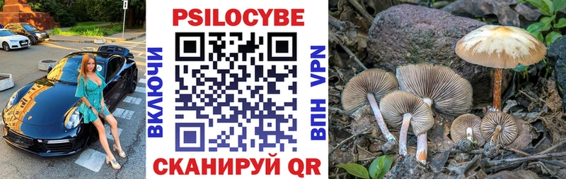Псилоцибиновые грибы Cubensis  купить наркотики сайты  ссылка на мегу ссылка  Биробиджан 