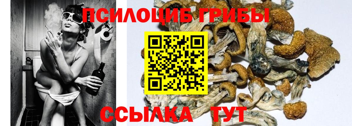 Галлюциногенные грибы мухоморы Биробиджан